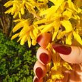 Катерина